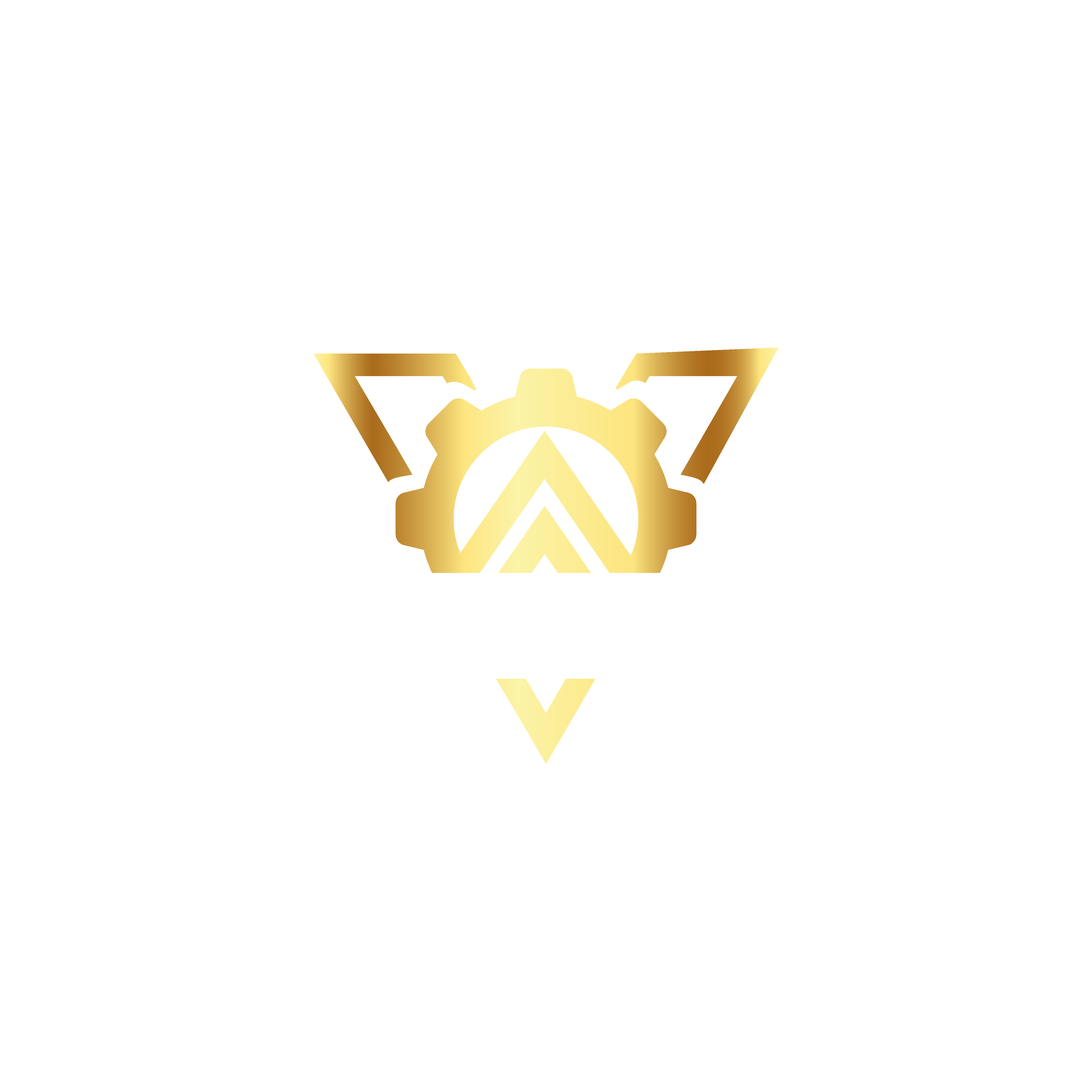 Vita Technical
